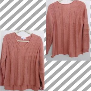 Blush Pink Cozy petite medium v neck Sweater